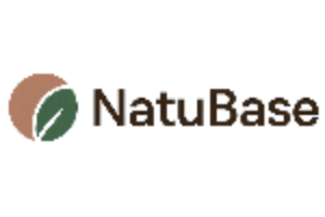 What I need is a simplify logo, Shape + Letters, can you change it again?